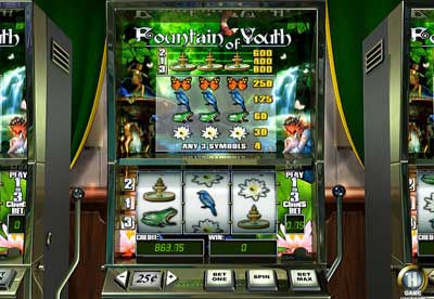 Fountain Of Youth Slots Screenshot