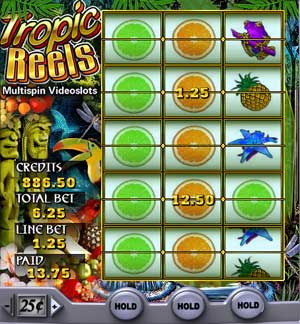 Tropic Reels Screenshot