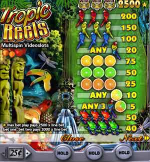 Tropic Reels Pay Table